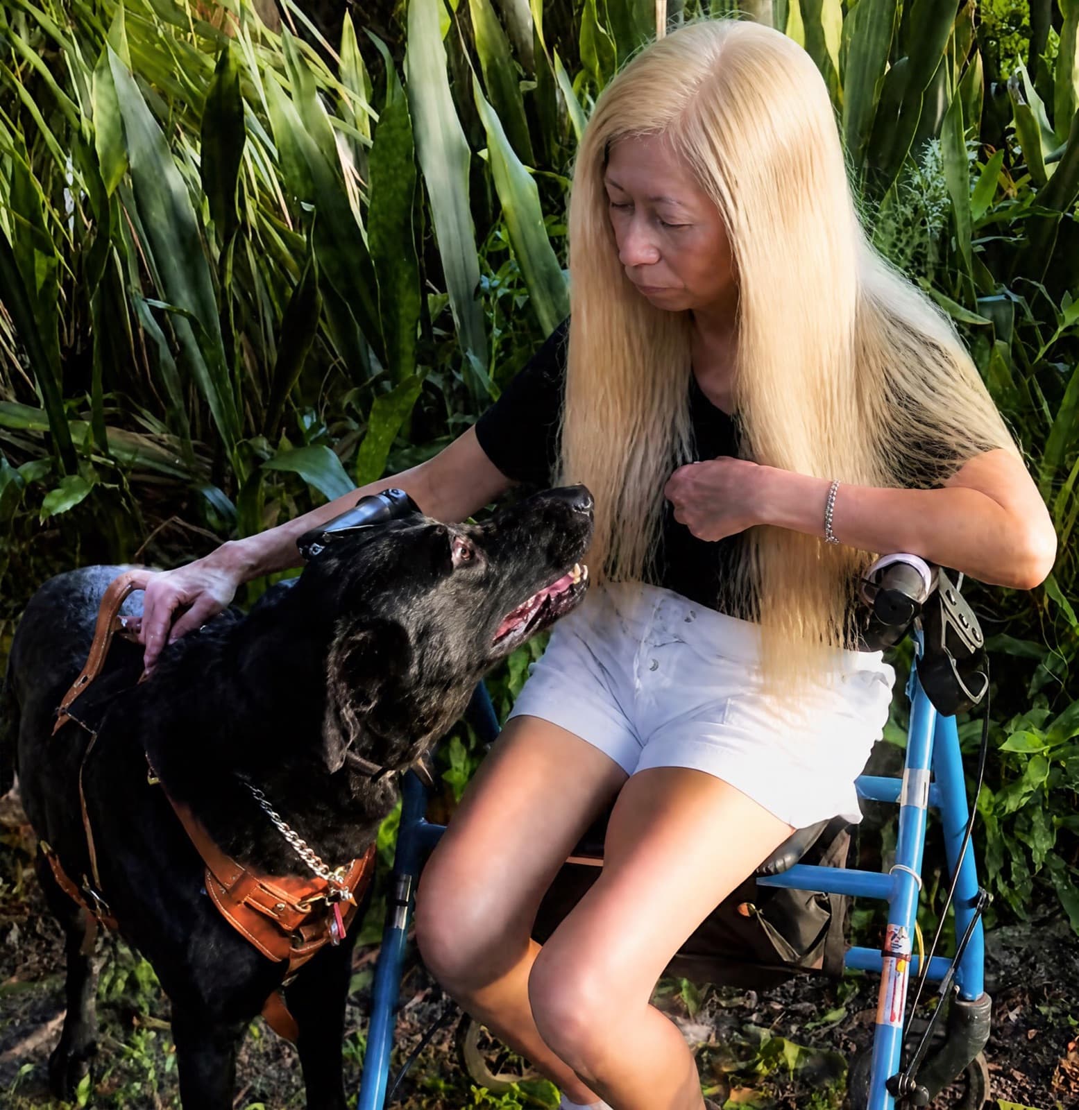 Elisabeth Romanik, Home Base USA's founder, seated at her walker in a garden and petting Bella, her black East European Shepherd mobility service dog