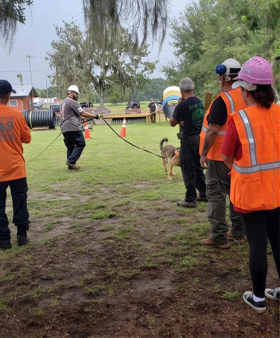 Handlers in safety vests watching a K9 work a training course on a grass field
